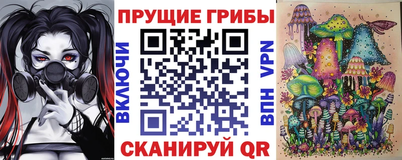Псилоцибиновые грибы ЛСД  Венёв 